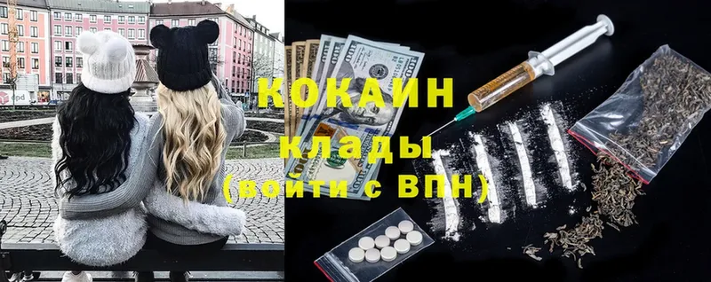 магазин  наркотиков  Кольчугино  Cocaine FishScale 